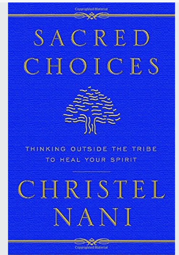 Diary of a Medical Intutive by Christel Nani
